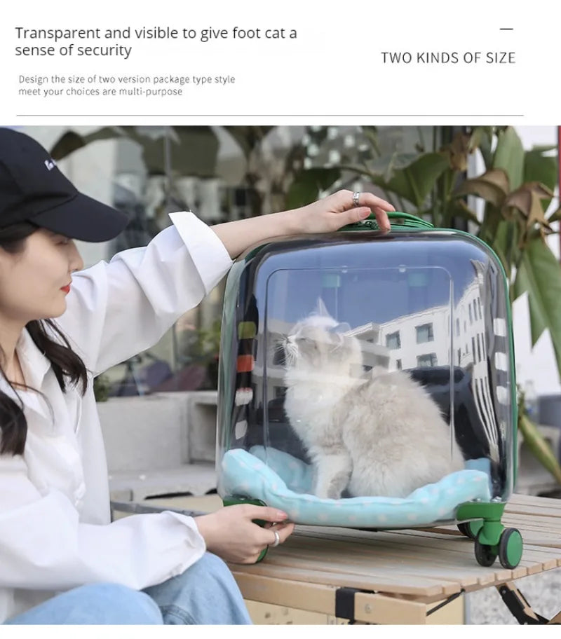 Transparent Cat Luggage Trolley Case Portable Backpack Large Transport Box Silent Wheel Dog Travel Bag Breathable Box
