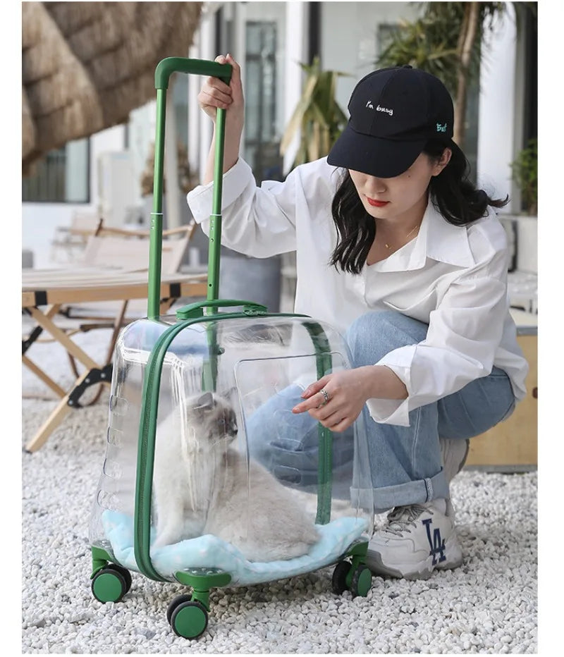 Transparent Cat Luggage Trolley Case Portable Backpack Large Transport Box Silent Wheel Dog Travel Bag Breathable Box
