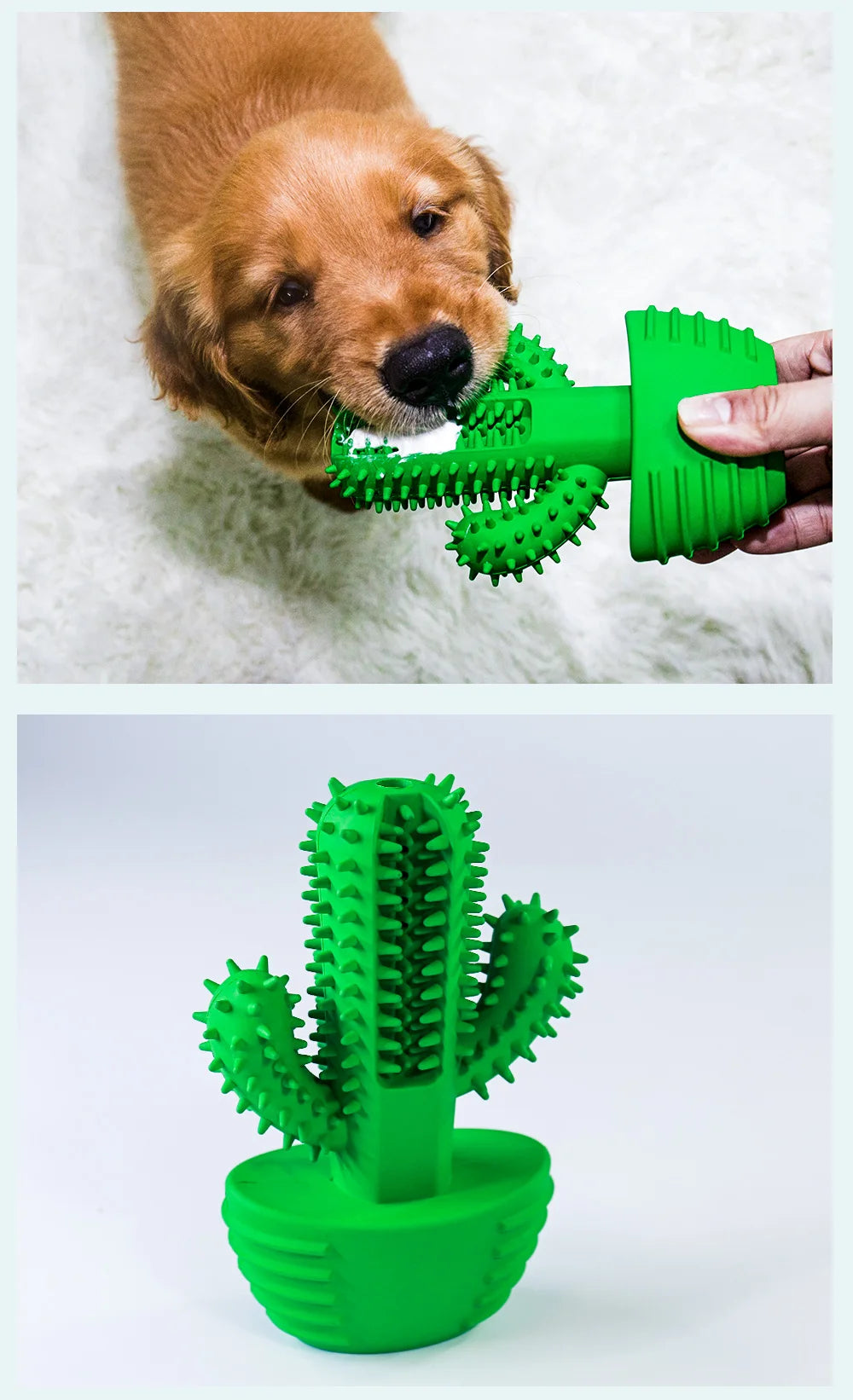 Dog Cactus Interactive Rubber Chew Toys For Small Large Dogs Tooth Cleaning Toothbrush For Small Large Dogs Treat Dispenser Pet